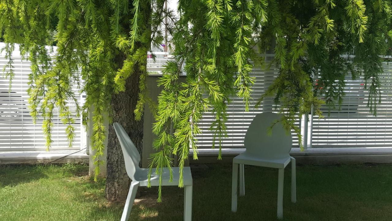 B&B "Al Colle 11" Fano Exterior photo